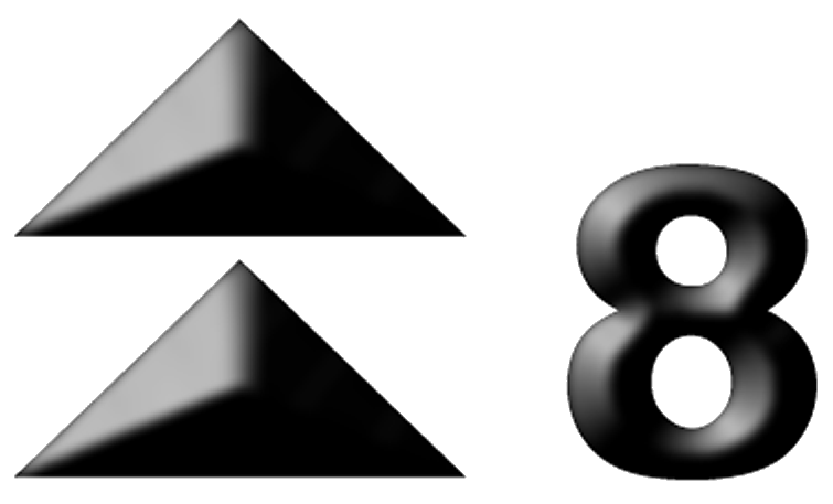 Typhoon Signal No.8  (T8)